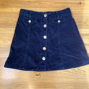 BDG blue corduroy skirt